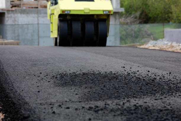 Best Driveway Paving Contractor  in Long Grove, IA
